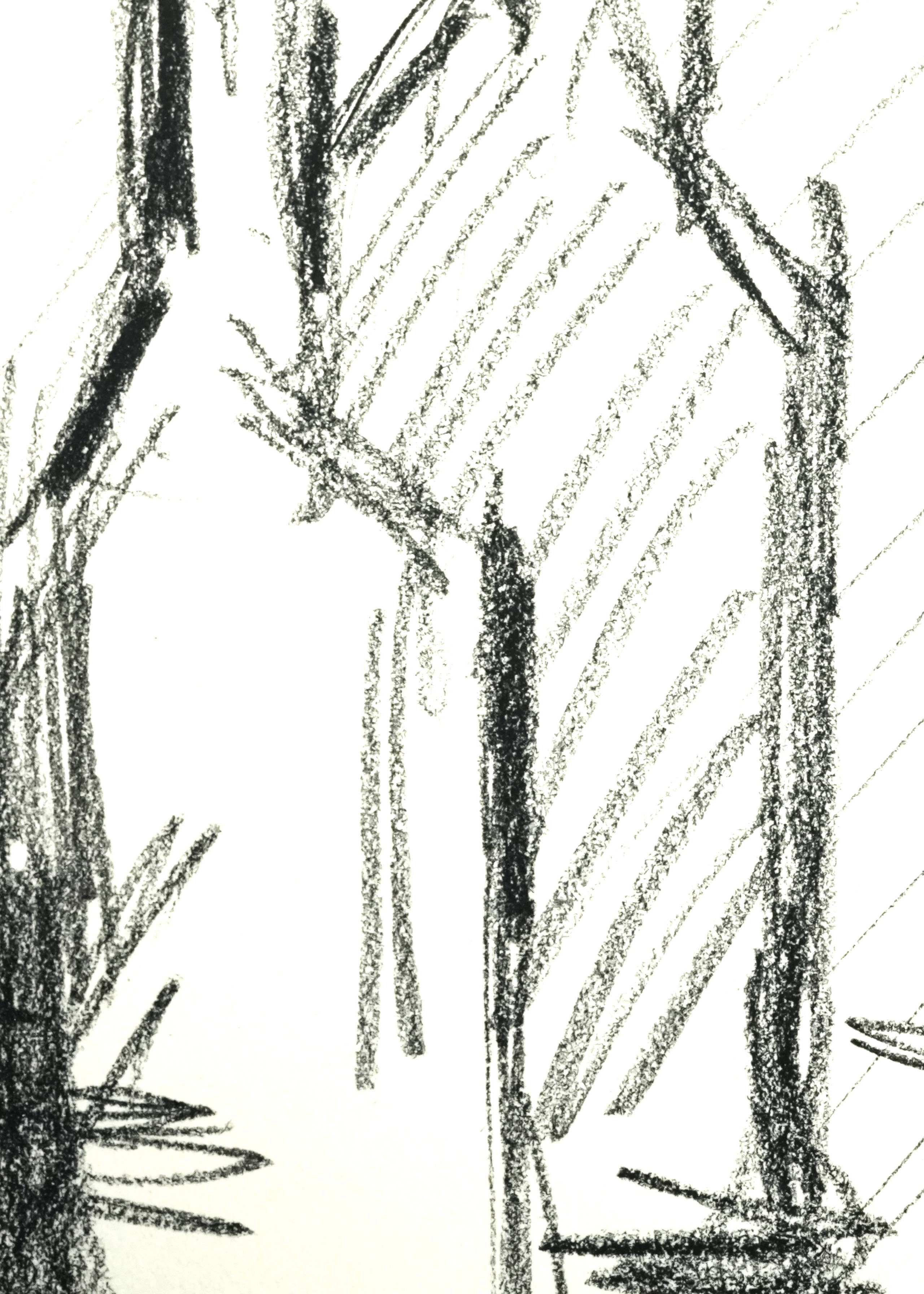 Disegni e acquerelli