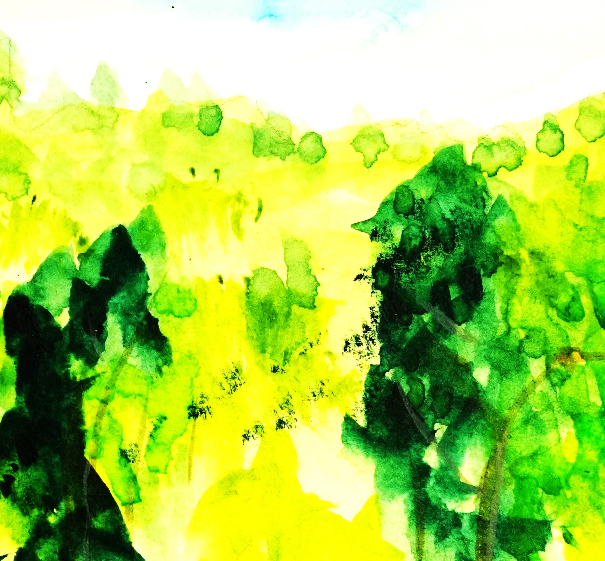 Pittura e tecniche miste