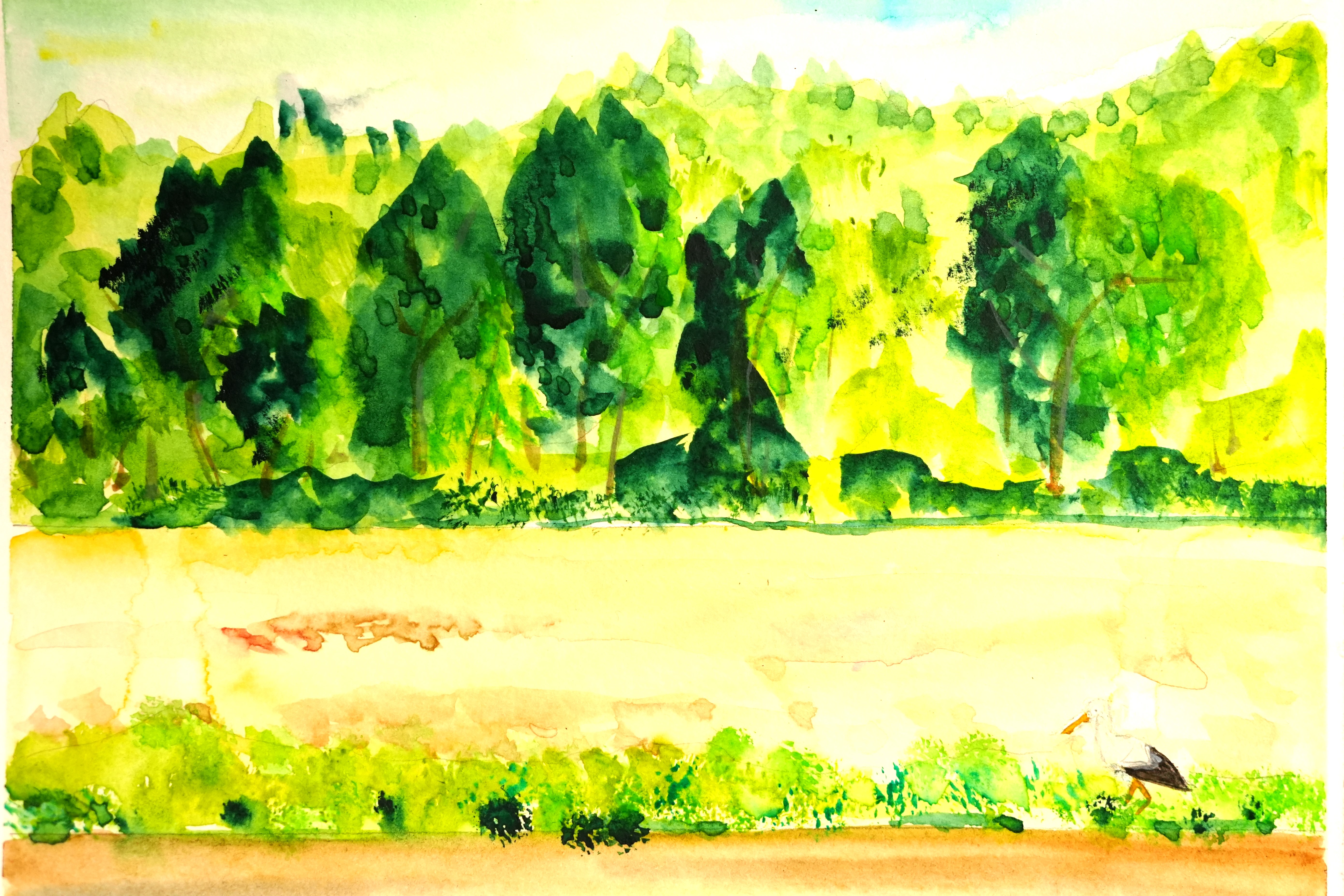 Campo delle cicogne